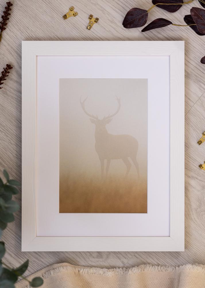 Rėmas Sandra Akrilinė stiklas Balta 40x60 cm