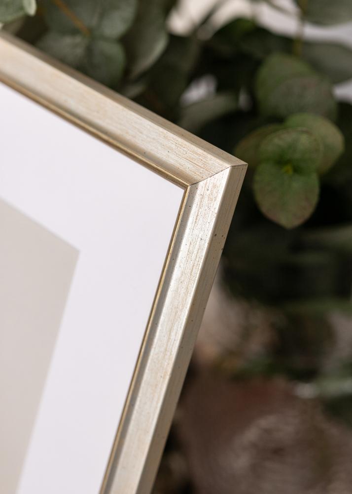 Rėmas Marisa Akriliniai Stiklas Sidabras 50x70 cm