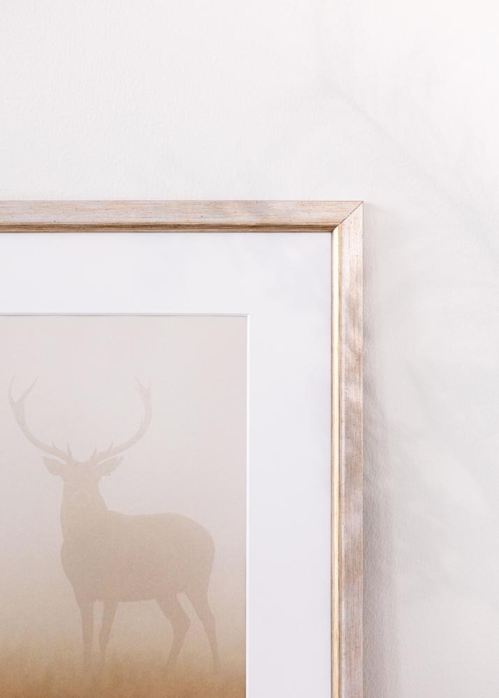 Rėmas Marisa Akriliniai Stiklas Sidabras 50x70 cm