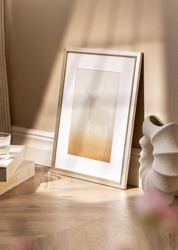 Rėmas Marisa Akriliniai Stiklas Sidabras 50x70 cm