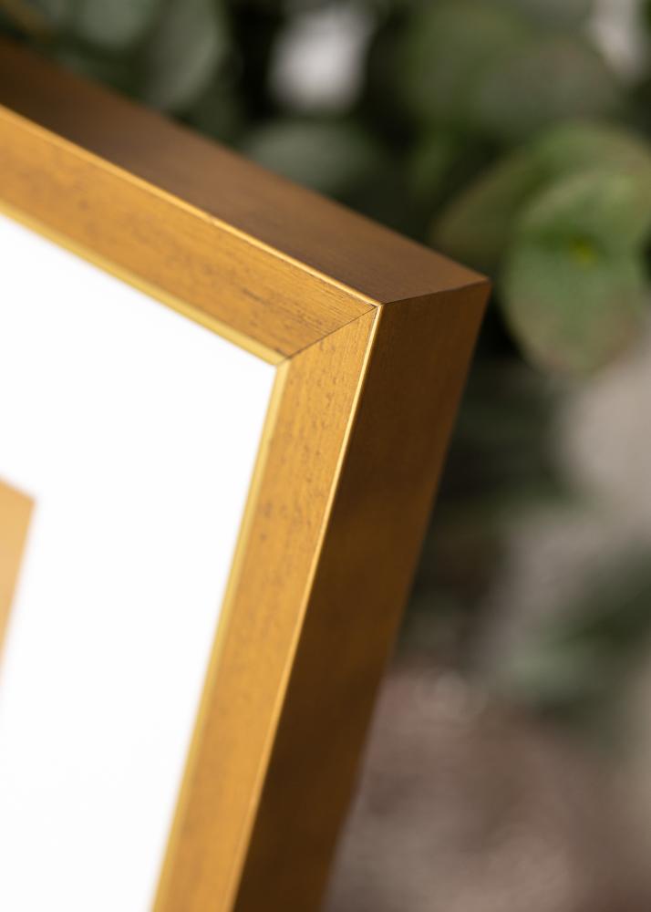 Rėmas Brema Akrilo stiklas Auksinis 30x40 cm