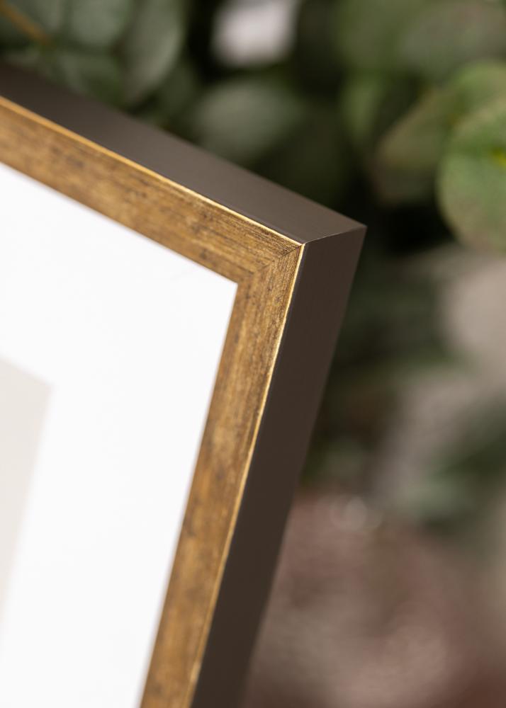 Rėmas Dune Akrylglas Auksinis 40x50 cm