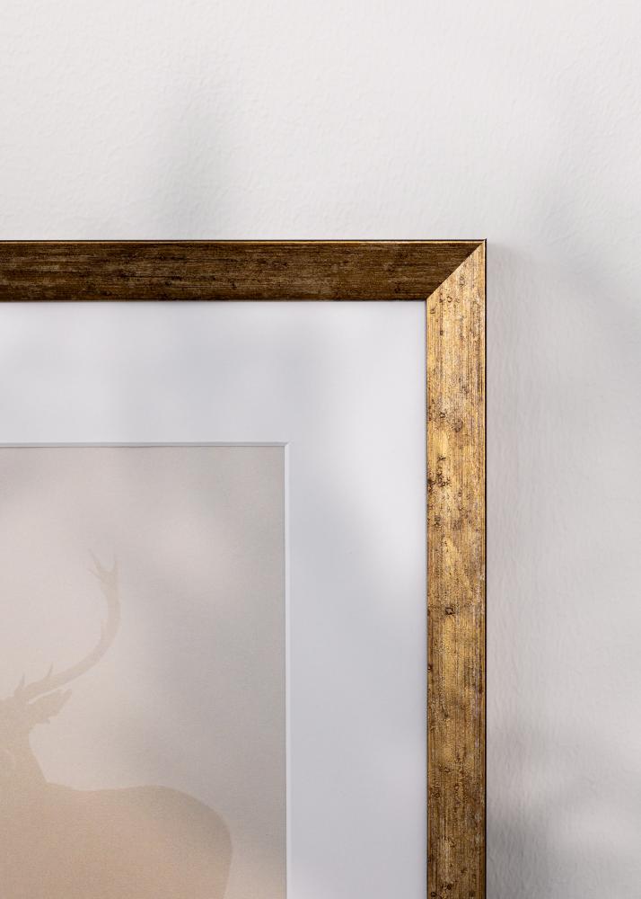 Rėmas Dune Akrylglas Auksinis 40x50 cm