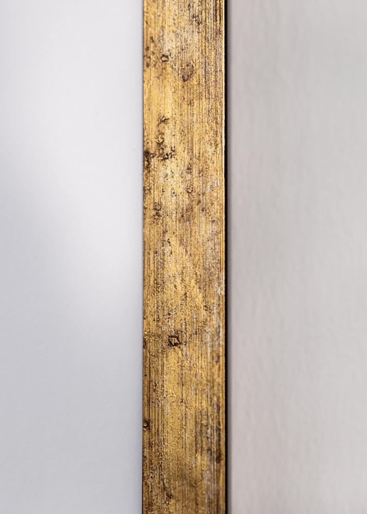 Rėmas Dune Akrylglas Auksinis 40x50 cm