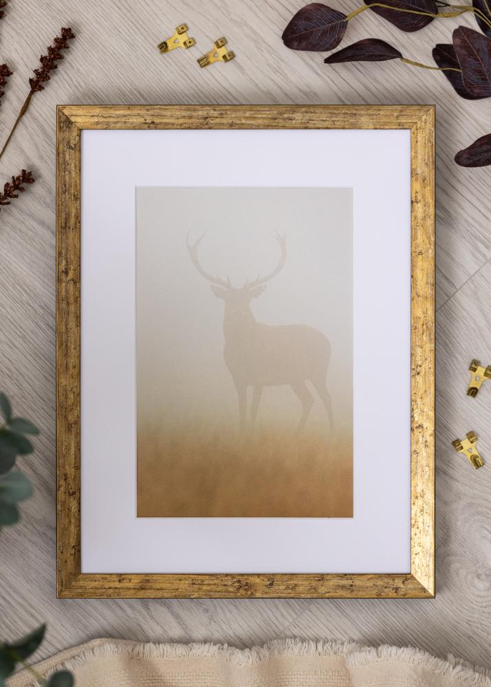 Rėmas Dune Akrylglas Auksinis 40x50 cm