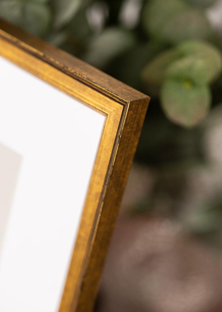 Rėmas Ringa akrilinis stiklas auksinis 40x60 cm