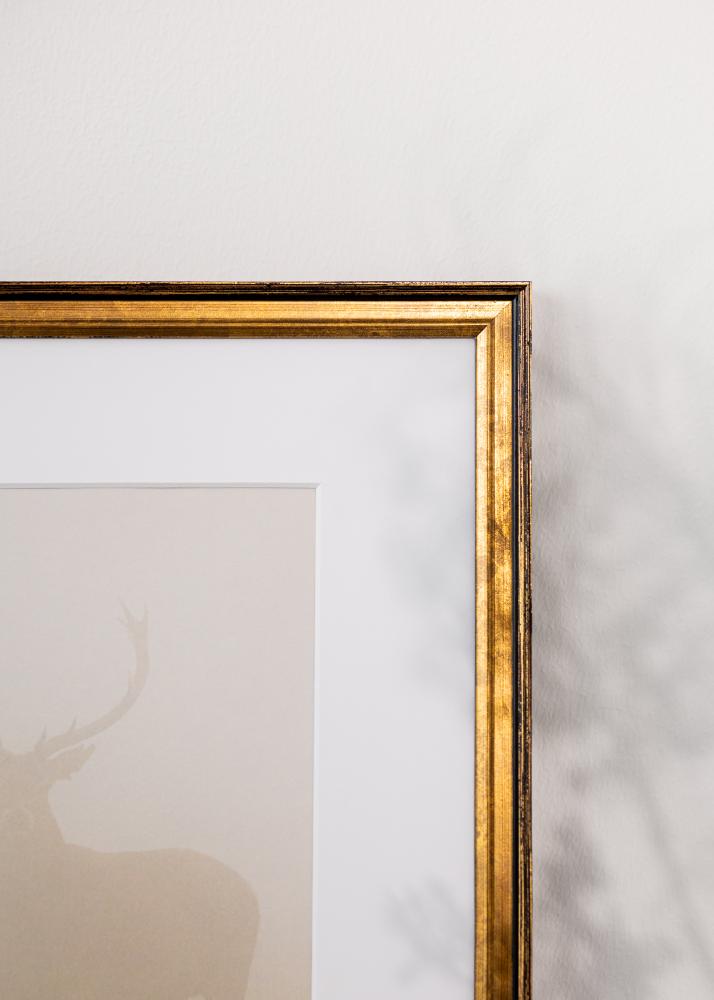 Rėmas Ringa akrilinis stiklas auksinis 40x60 cm