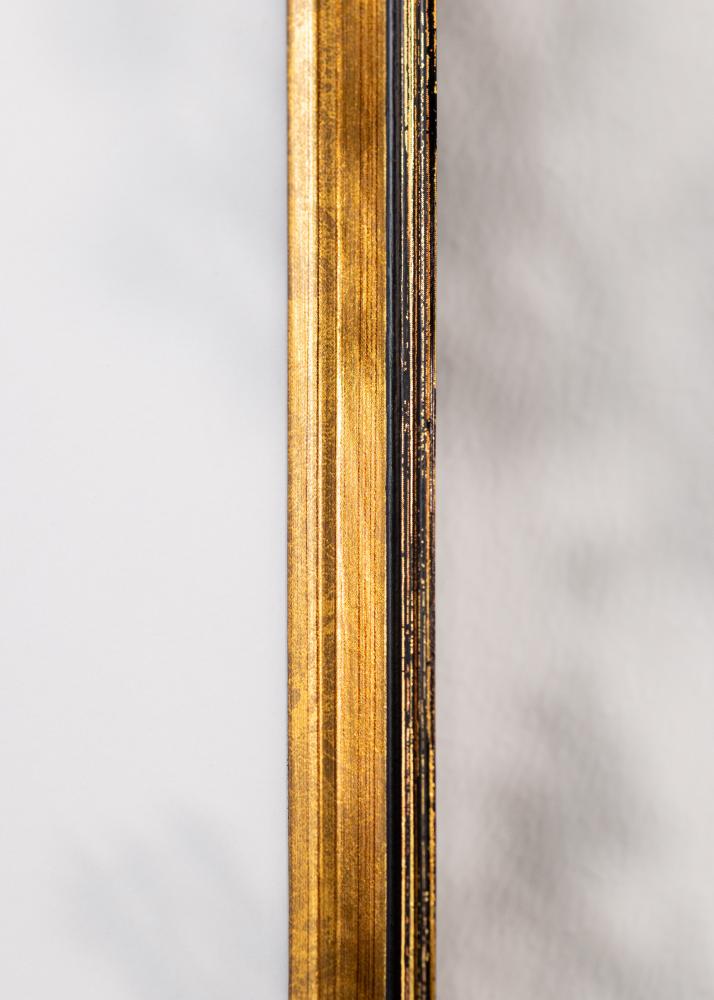 Rėmas Ringa akrilinis stiklas auksinis 40x60 cm