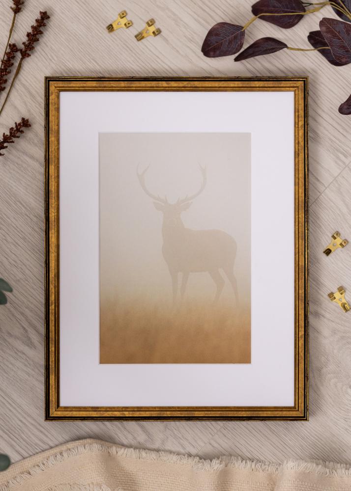 Rėmas Ringa akrilinis stiklas auksinis 40x60 cm