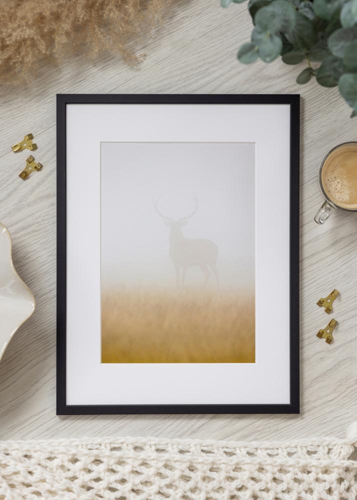 Rėmas Edsbyn Akrilo stiklas Juodas 10x21 cm