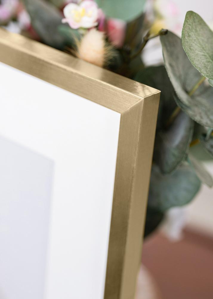 Rėmas Trendy Akrilo stiklas Auksas 21x29,7 cm (A4)