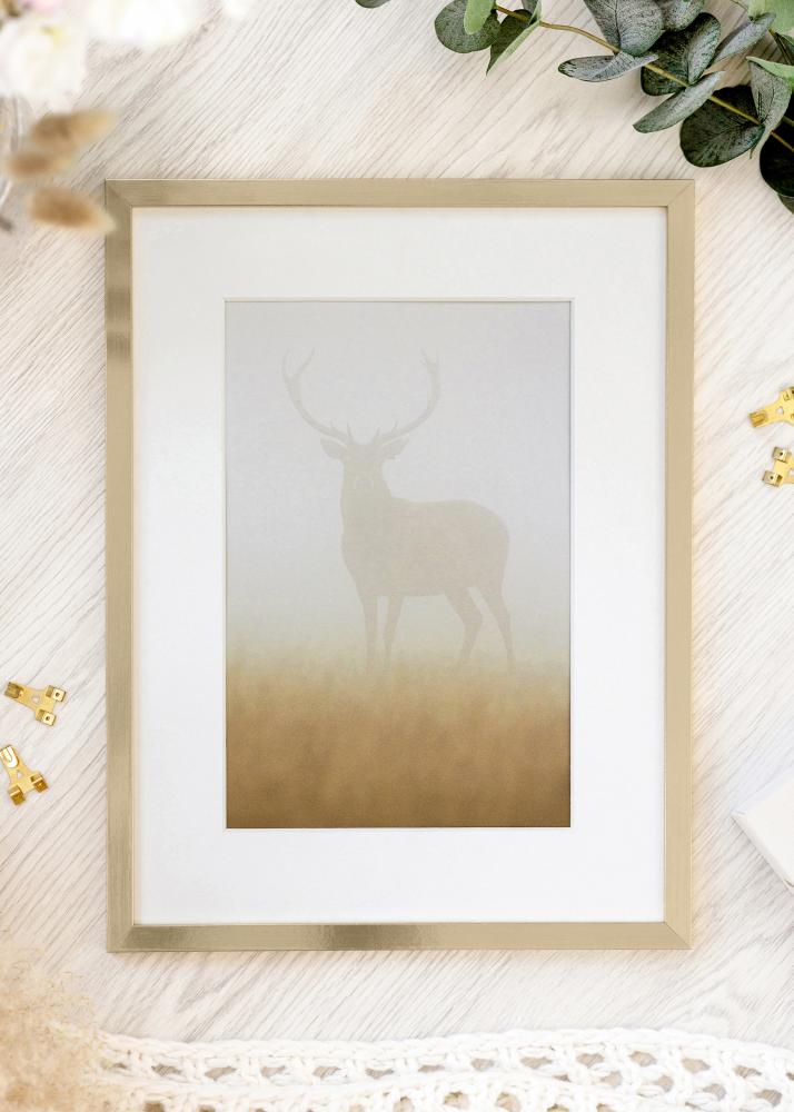 Rėmas Trendy Akrilo stiklas Auksas 21x29,7 cm (A4)