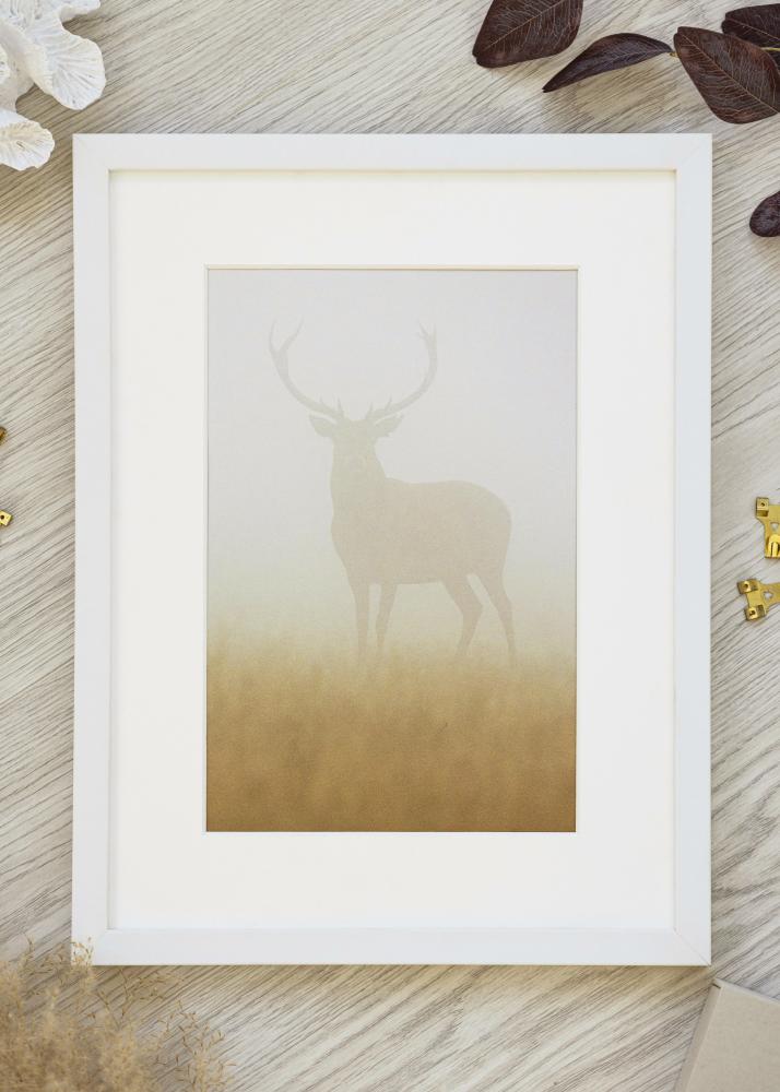 Rėmas Baltas Platus 40 x 50 cm