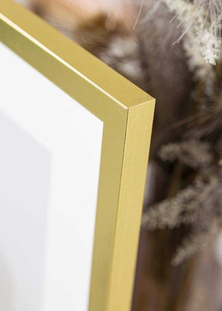 Rėmas Auksinis Platus 70 x 100 cm