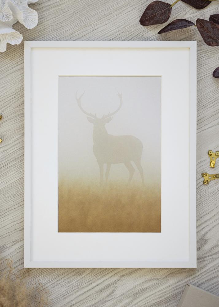 Rėmas Baltas Siauras 30 x 40 cm