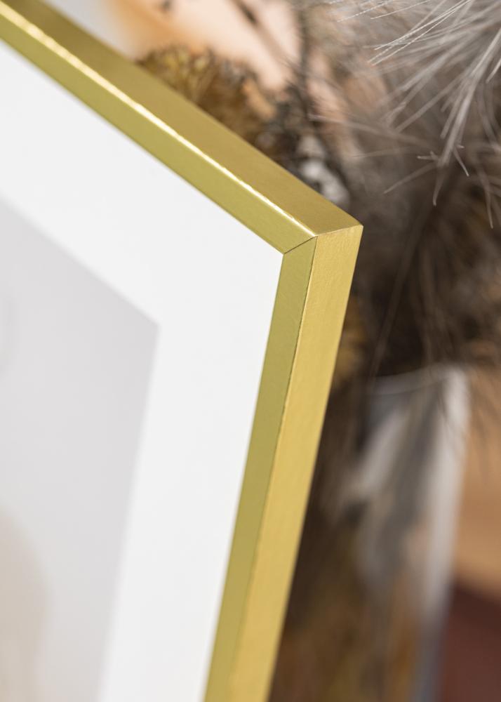 Rėmas Auksinis Siauras 40 x 50 cm