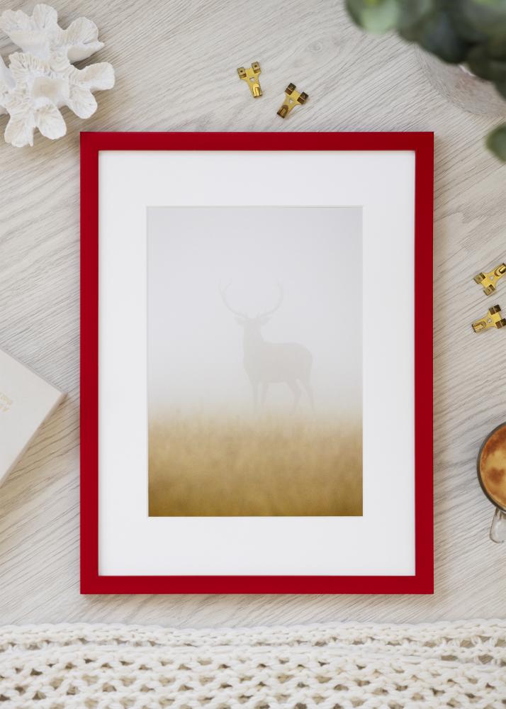 Rėmas Kent Akrilo stiklas Raudonas 29,7x42 cm (A3)