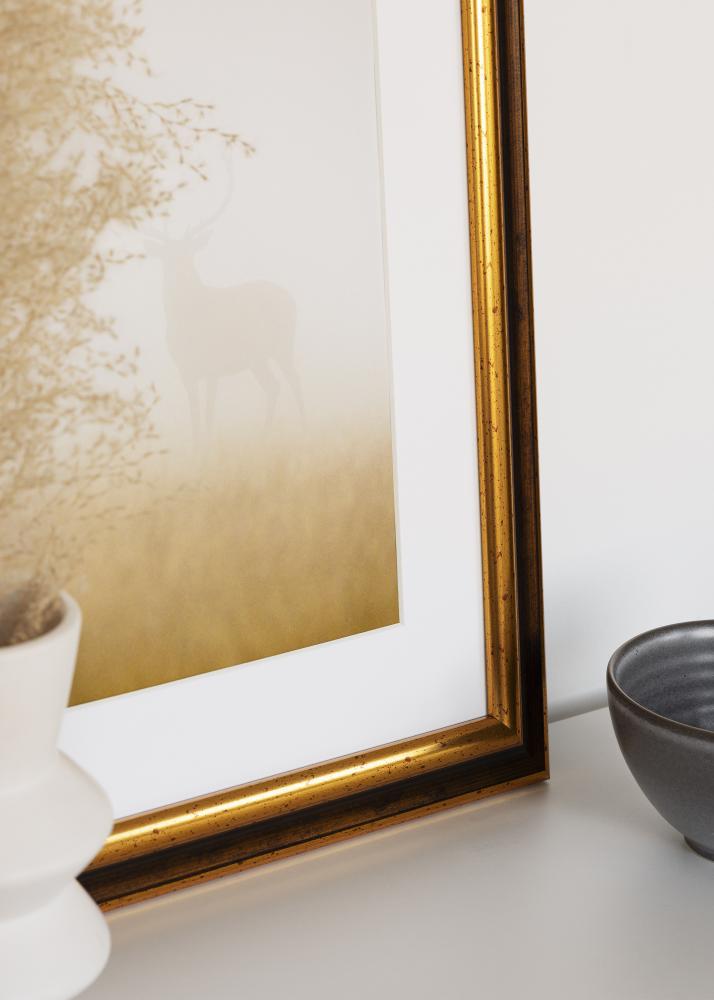 Rėmas Aberystwyth Akrilo stiklas Auksas 29.7x42 cm (A3)