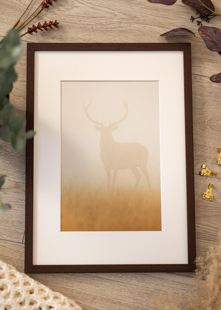 Rėmas Modern Akrilo stiklas Riešutas 50x60 cm