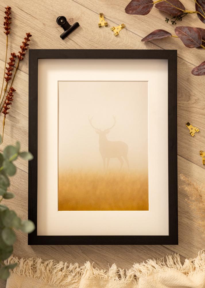 BGA Dėžutės rėmas Juoda 30x45 cm - Paspartu Baltas 8x14 inches