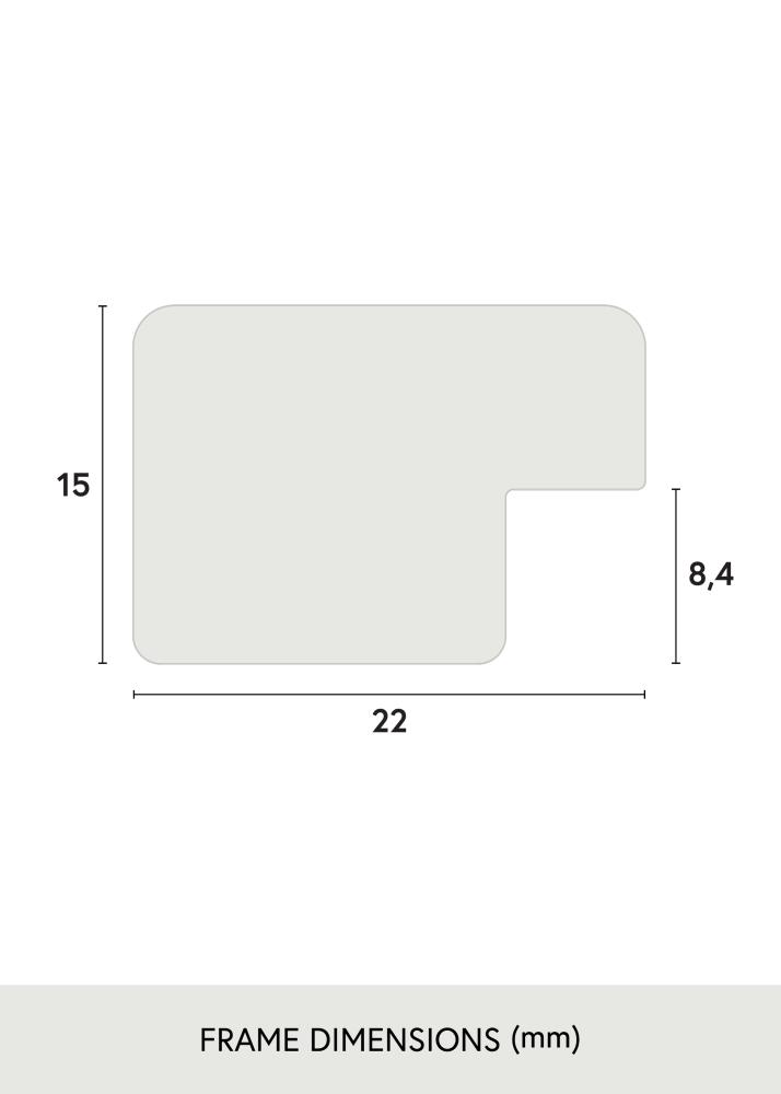 Rėmas Uppsala Sidabras 50x50 cm
