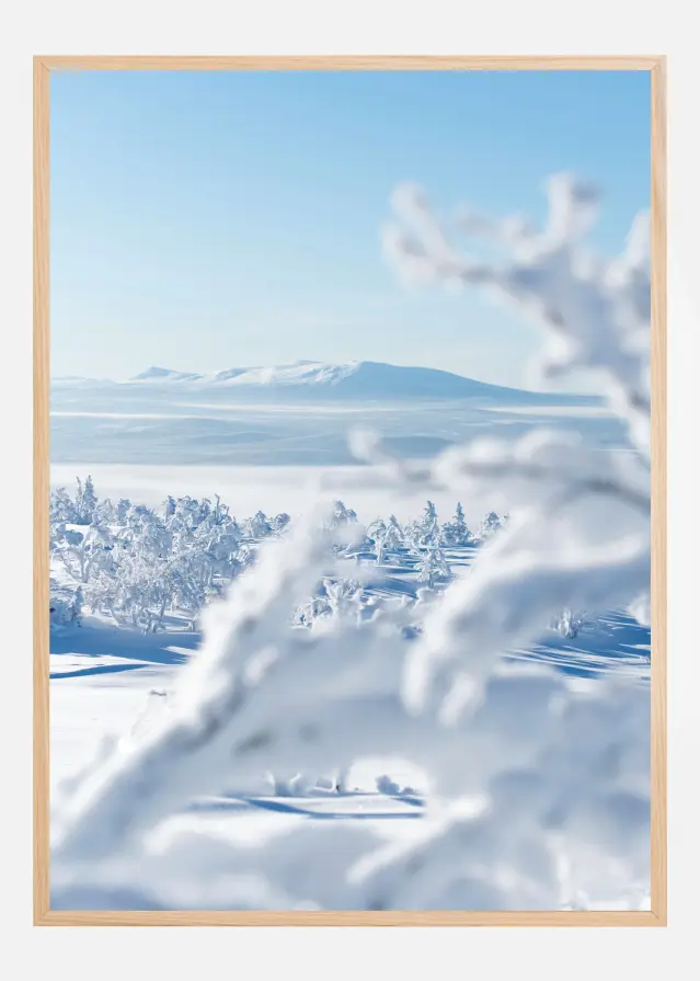 The silence of snowlight Įrašai