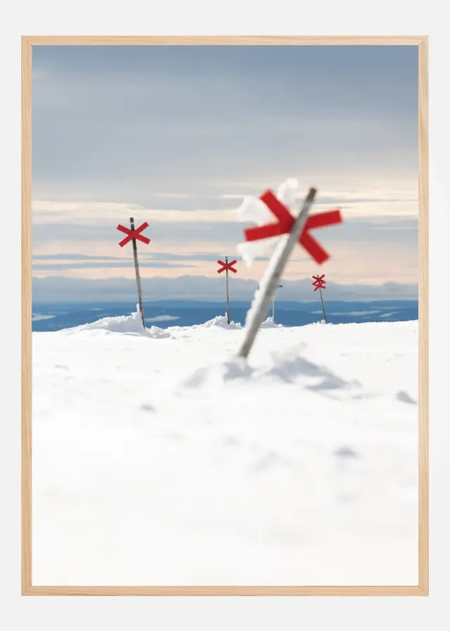 Red signs in the silence Įrašai