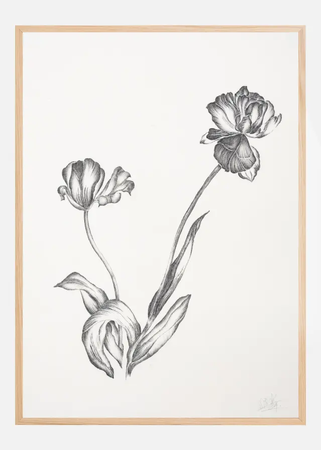 Where Have All the Flowers Gone II Įrašai