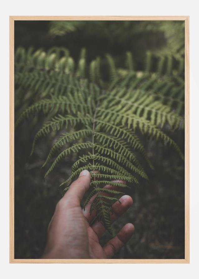 Hand on Ferm Įrašai