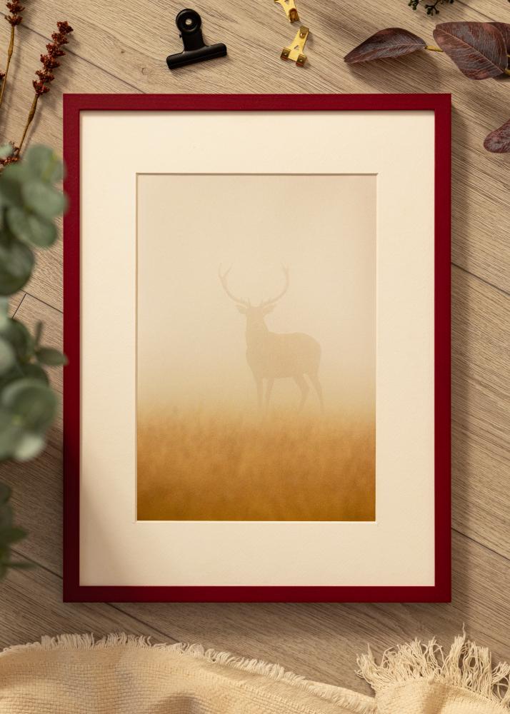 Colorful Akrilo stiklas Raudonas 70x100 cm