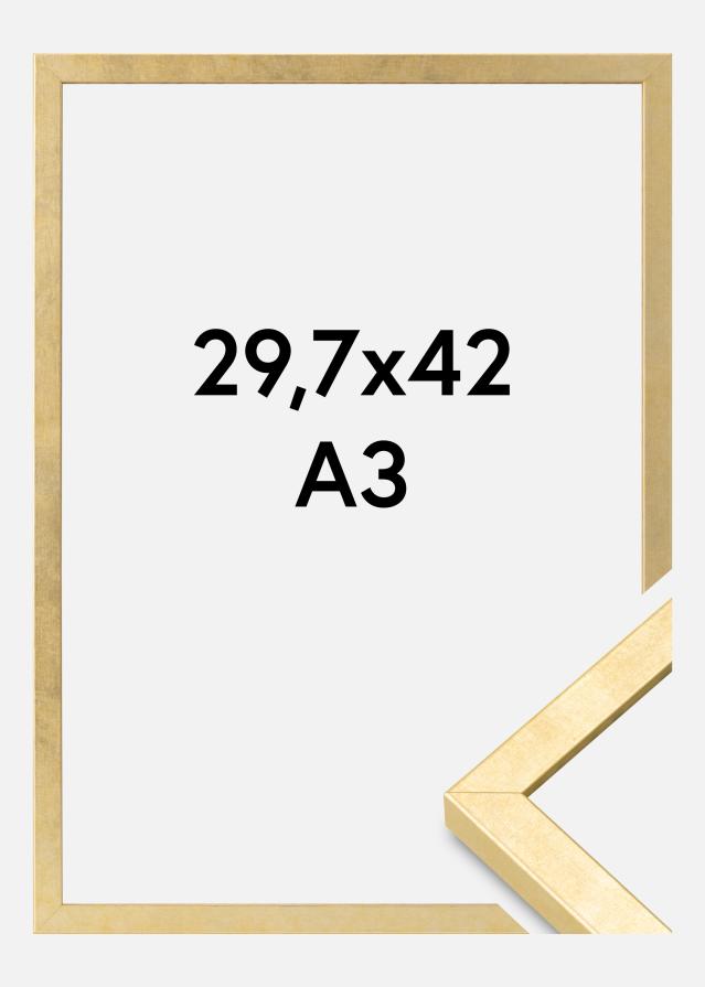 Rėmas Ares Akrilo stiklas Auksas 29,7x42 cm (A3)