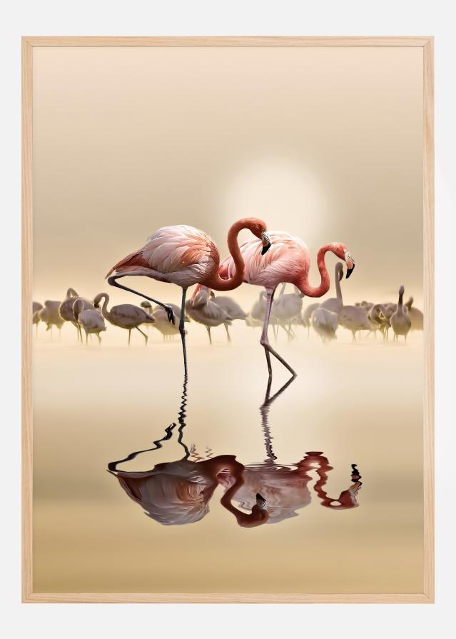 FLAMINGOS Įrašai