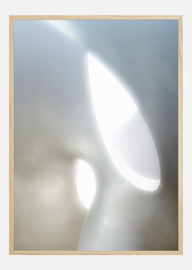 Organic Shapes Įrašai