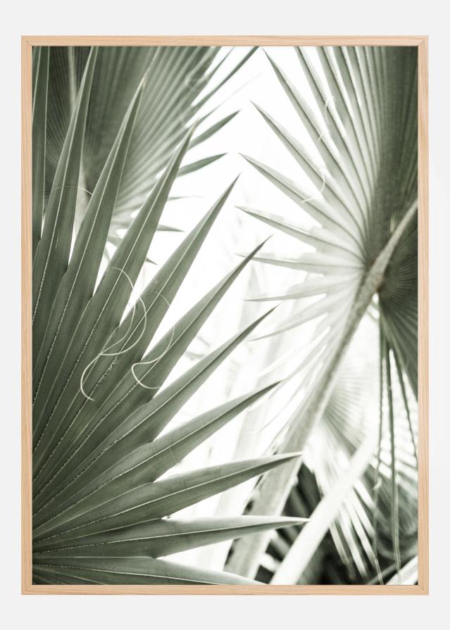 Green Leaves Įrašai