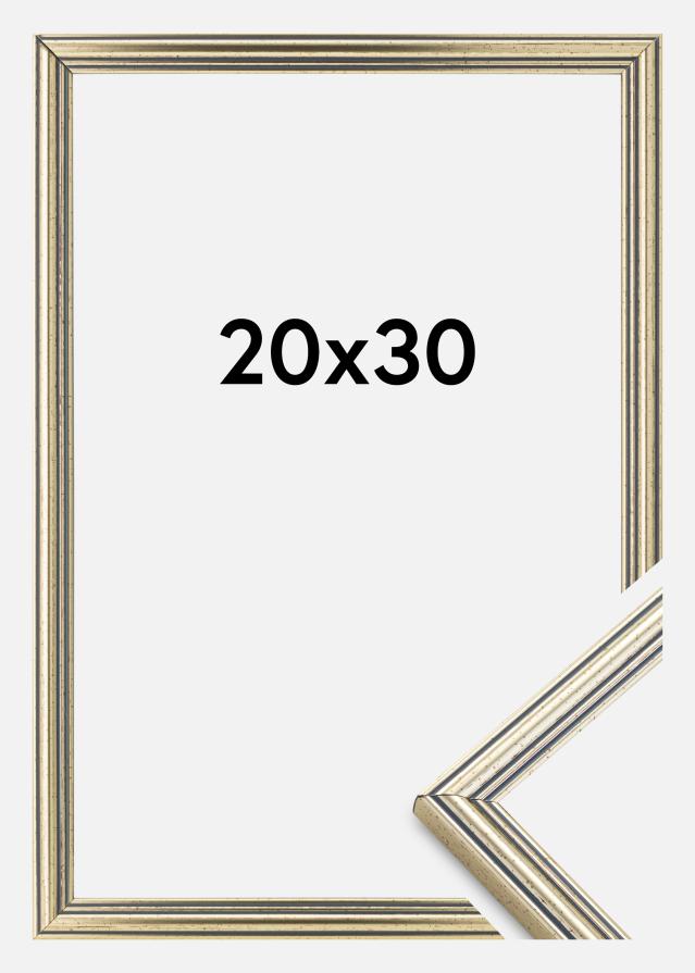 Rėmas Classic Sidabras 20x30 cm
