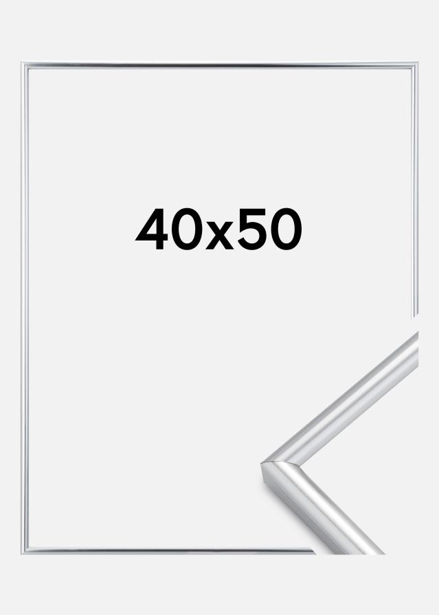 Rėmas Galeria Sidabras 40x50 cm