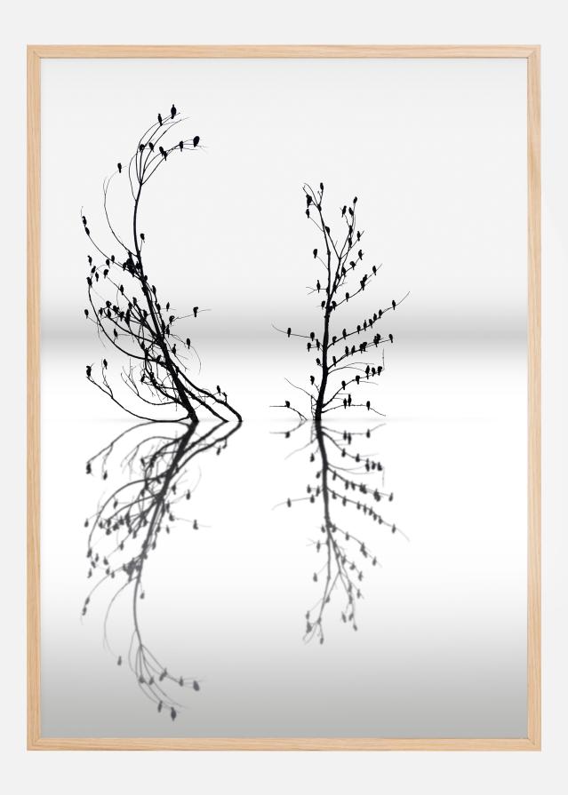 Dreamland 03 Įrašai