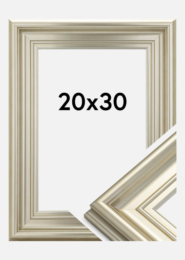 Rėmas Mora Premium Sidabras 20x30 cm