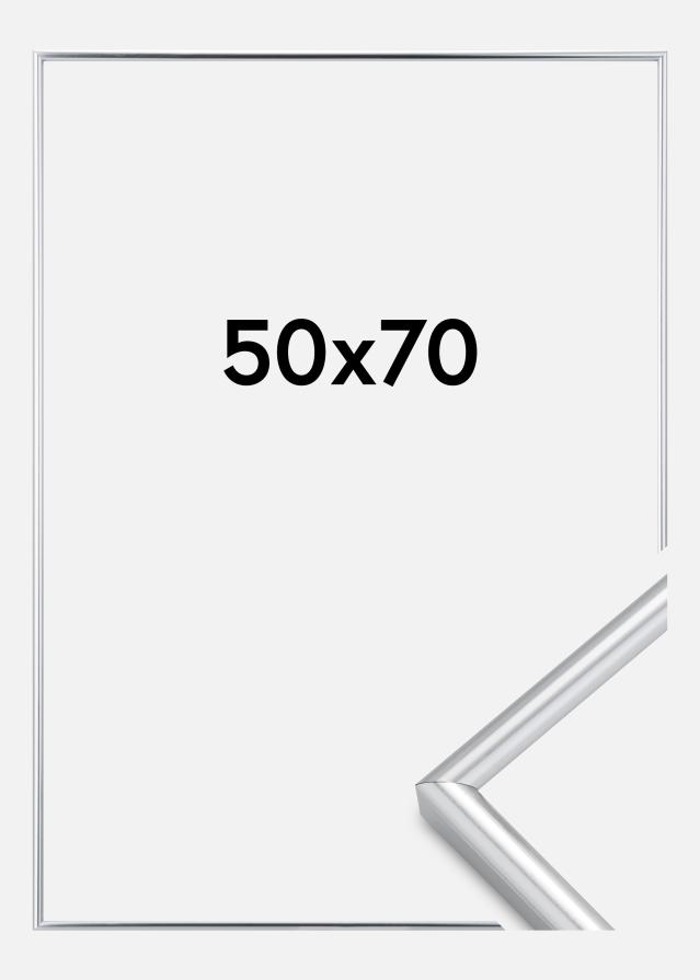 Rėmas Galeria Sidabras 50x70 cm