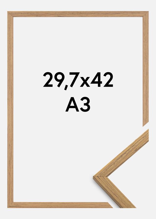 Rėmas Edsbyn Tiko 29,7x42 cm (A3)