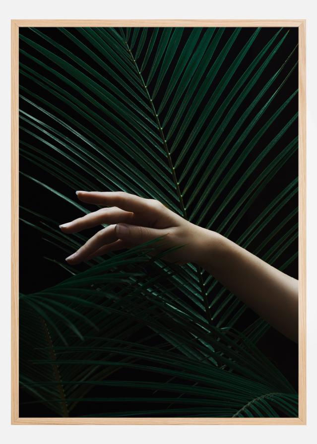 Handing a leaf Įrašai