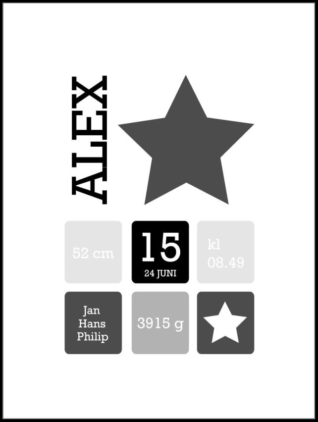 Star Birth Įrašai Grey