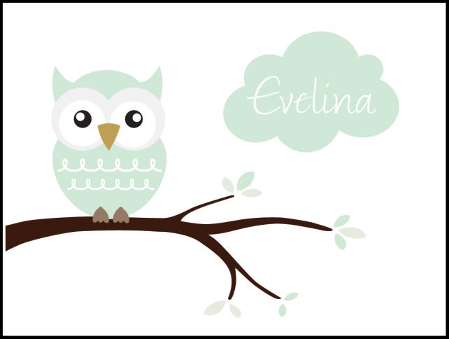 Owl Name Įrašai Light Green