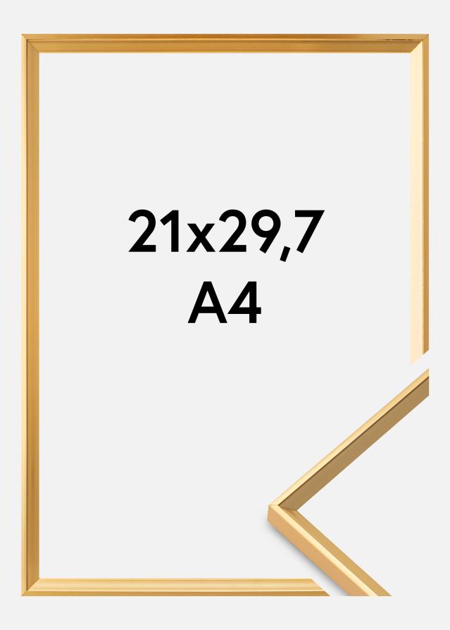 Rėmas Desire Auksas 21x29,7 cm (A4)