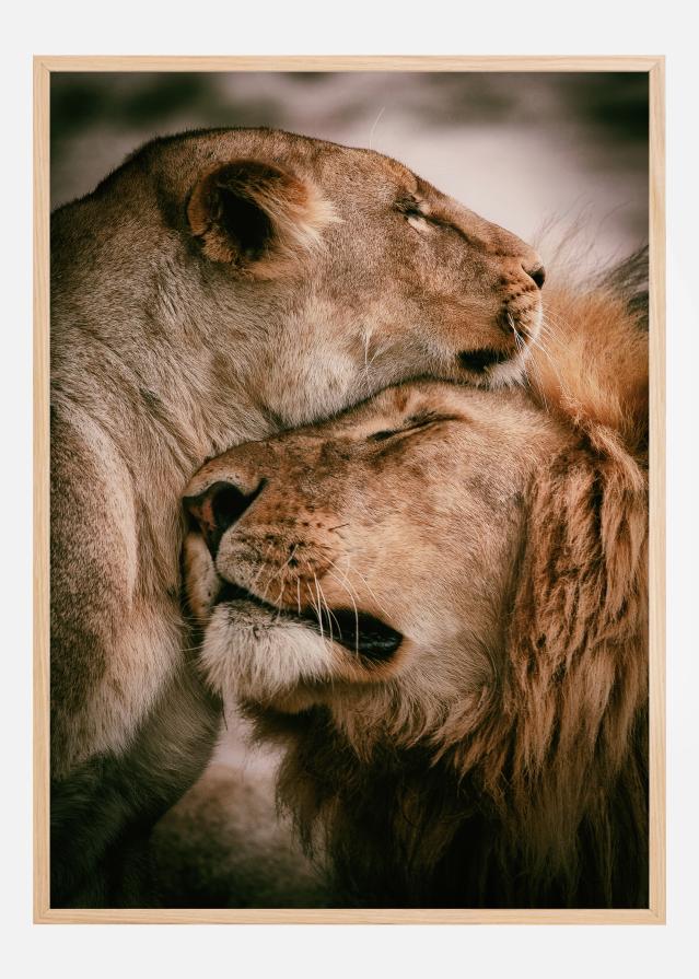 What Is Love Įrašai