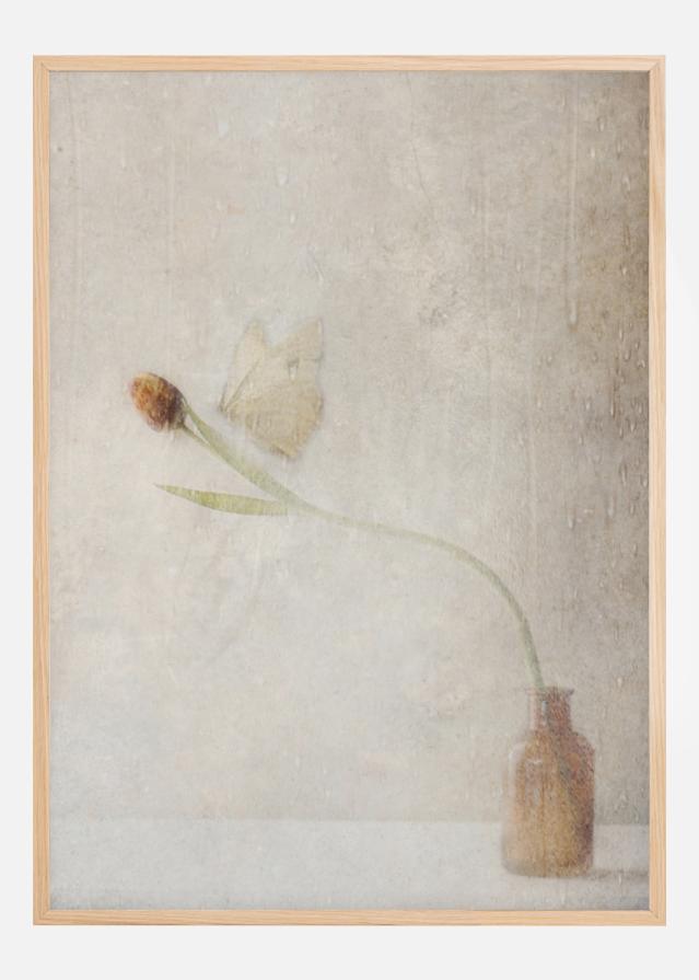 Ephemeral Meeting Įrašai