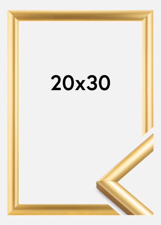 Rėmas Trendstyle Auksas 20x30 cm