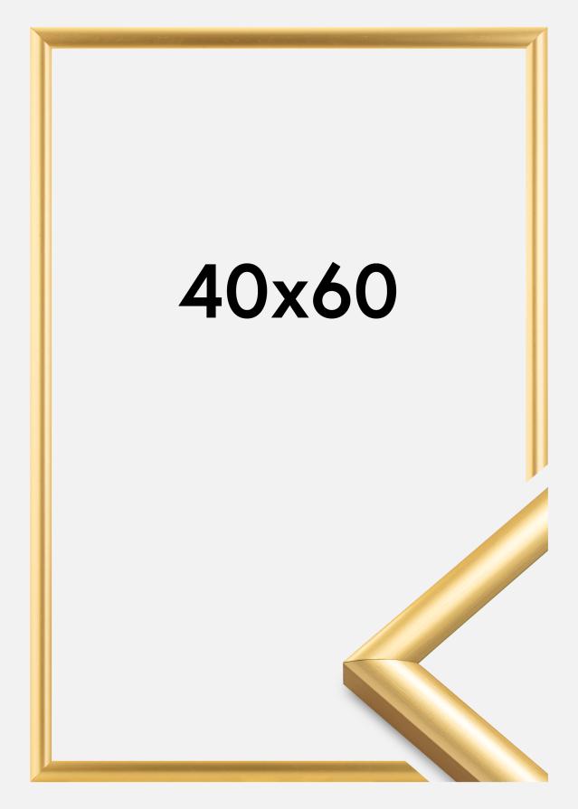 Rėmas Trendstyle Auksas 40x60 cm