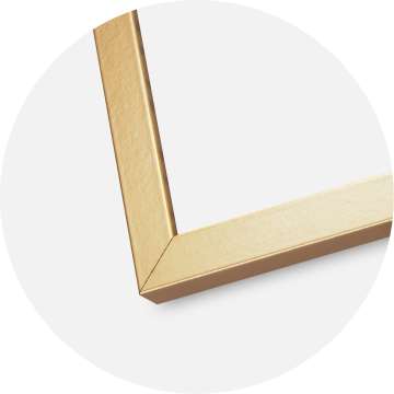 Rėmas Minerva Akrilo stiklas Auksas 50x70 cm