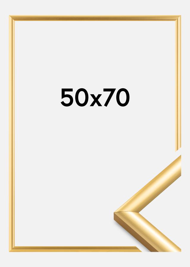Rėmas Trendstyle Auksas 50x70 cm